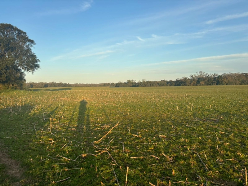 Fazenda interior de Cristal-RS: 4ª foto da galeria de imagens do imóvel