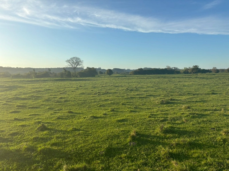 Fazenda interior de Cristal-RS: 7ª foto da galeria de imagens do imóvel