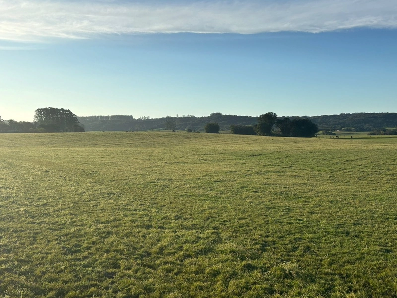 Fazenda interior de Cristal-RS: 12ª foto da galeria de imagens do imóvel