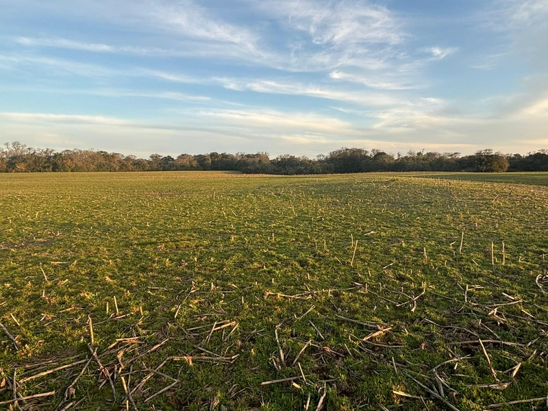 Fazenda interior de Cristal-RS: 3ª foto da galeria de imagens do imóvel