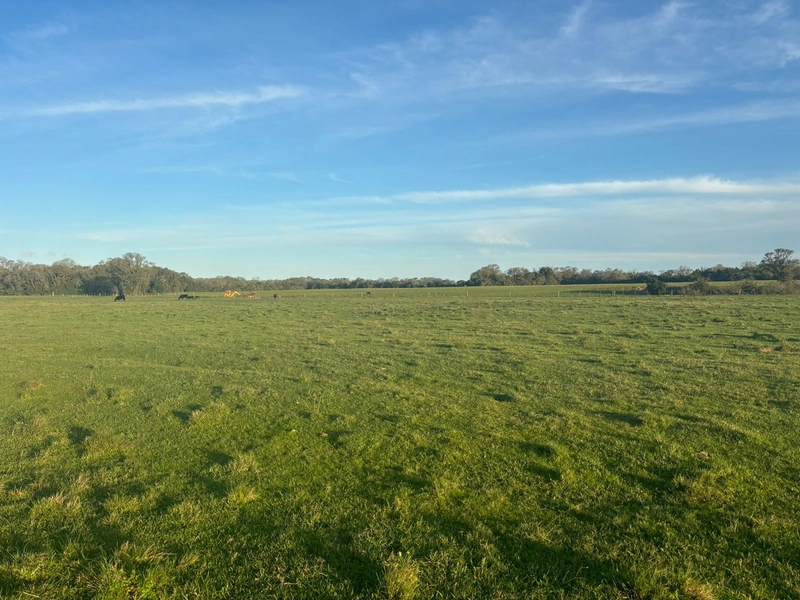 Fazenda interior de Cristal-RS: 8ª foto da galeria de imagens do imóvel