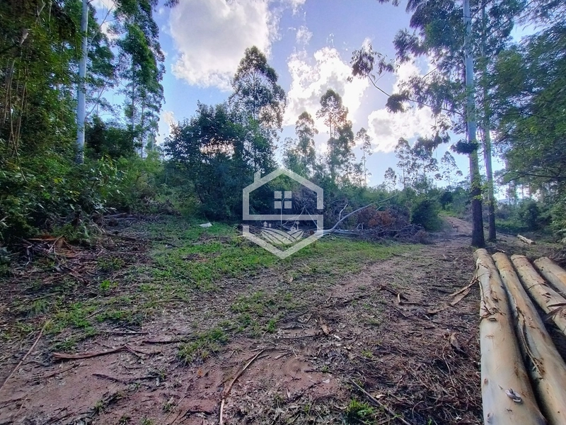 05ha no interior de Camaquã.: 5ª foto da galeria de imagens do imóvel