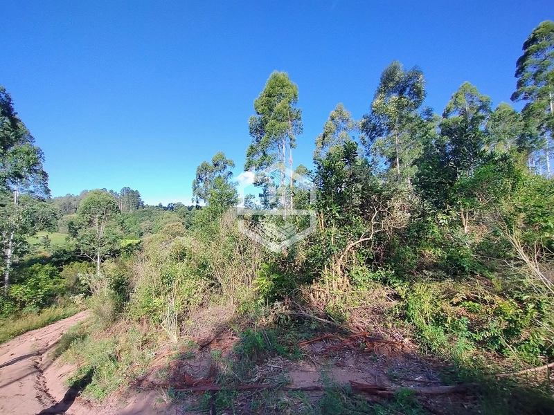 05ha no interior de Camaquã.: 2ª foto da galeria de imagens do imóvel