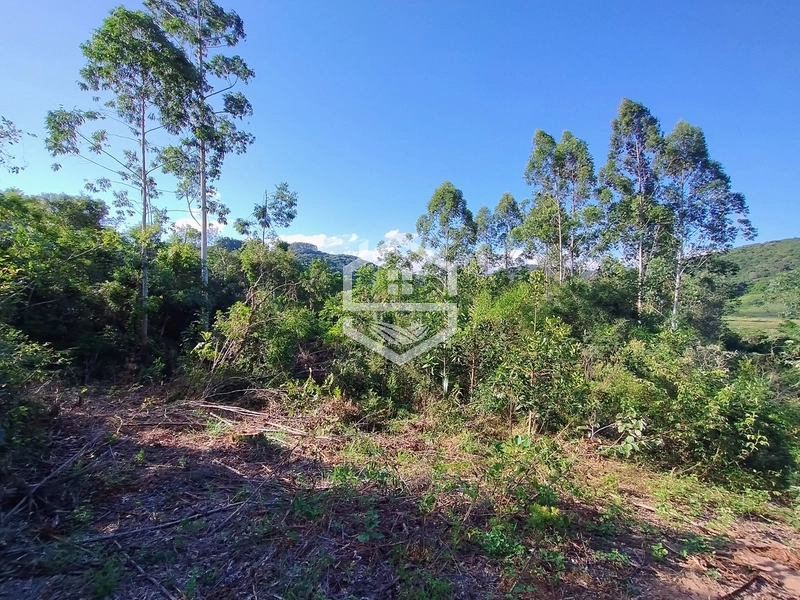 05ha no interior de Camaquã.: 3ª foto da galeria de imagens do imóvel