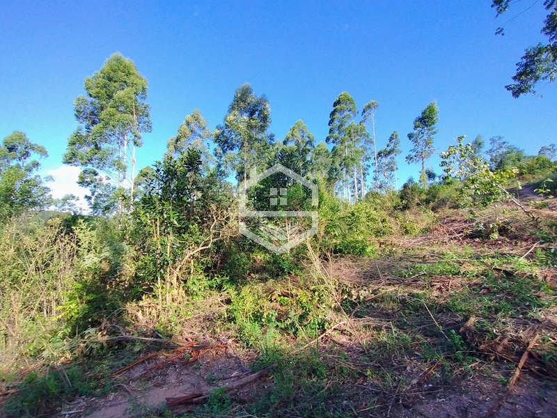 05ha no interior de Camaquã.: 1ª foto da galeria de imagens do imóvel