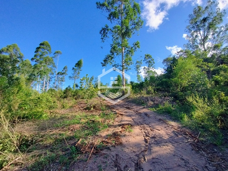 05ha no interior de Camaquã.: 6ª foto da galeria de imagens do imóvel