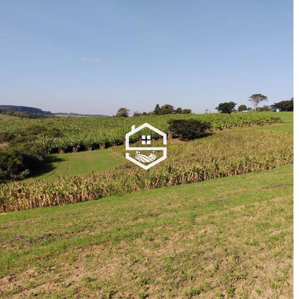 Área Rural para venda em Sentinela do Sul: 2ª foto da galeria de imagens do imóvel