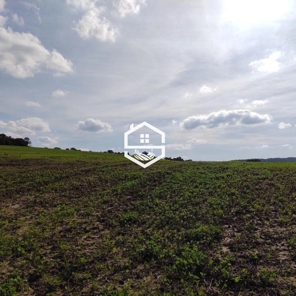 Área Rural para venda em Sentinela do Sul: 3ª foto da galeria de imagens do imóvel