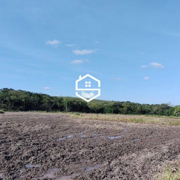 Área Rural para venda em Sentinela do Sul: 5ª foto da galeria de imagens do imóvel