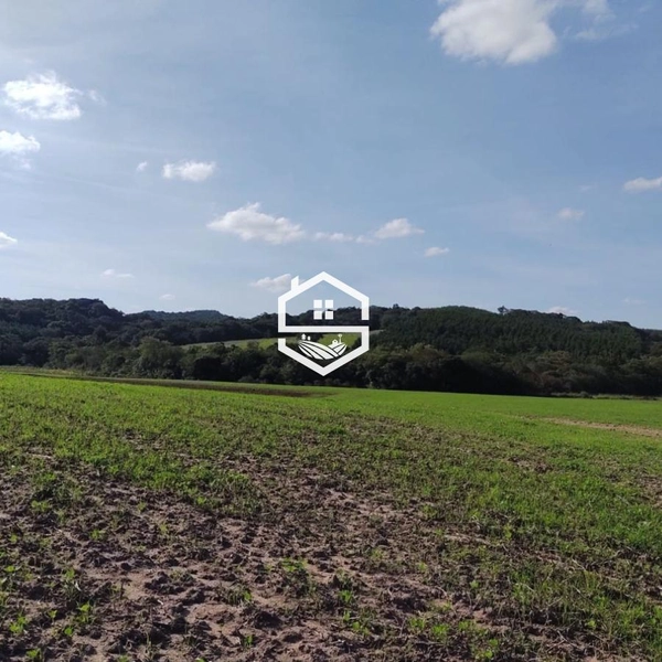 Área Rural para venda em Sentinela do Sul: 6ª foto da galeria de imagens do imóvel