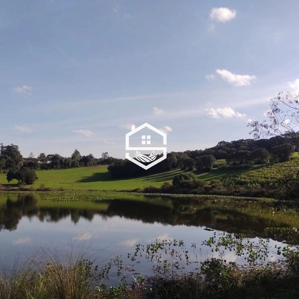 Área Rural para venda em Sentinela do Sul: 7ª foto da galeria de imagens do imóvel