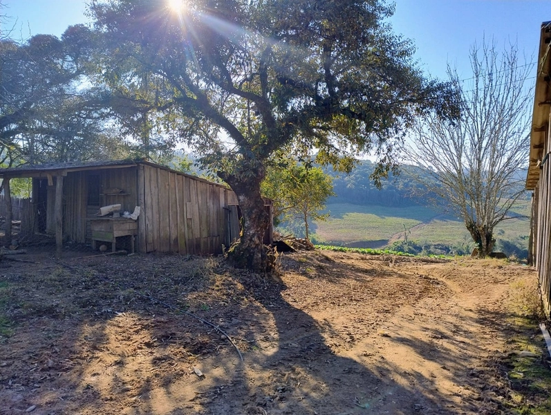 Sítio com Estrutura para produção de Tabaco!: 5ª foto da galeria de imagens do imóvel