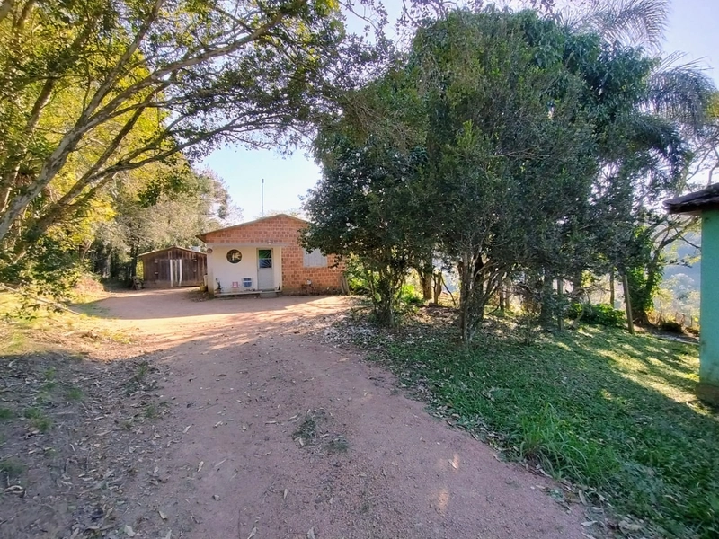 Sítio com Estrutura para produção de Tabaco!: 6ª foto da galeria de imagens do imóvel