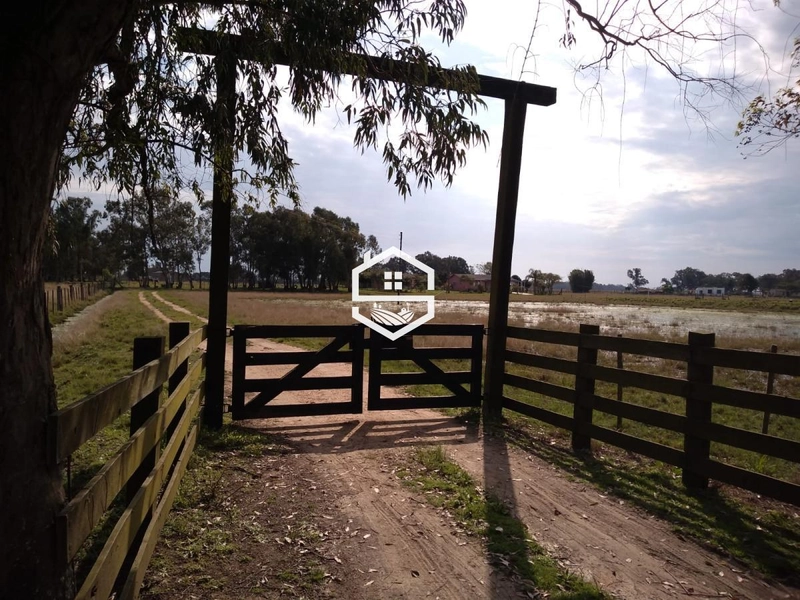 Área Rural para venda em Arambaré: 7ª foto da galeria de imagens do imóvel