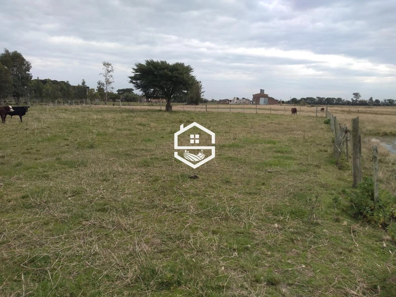 Área Rural para venda em Arambaré: 4ª foto da galeria de imagens do imóvel