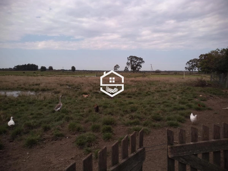 Área Rural para venda em Arambaré: 5ª foto da galeria de imagens do imóvel