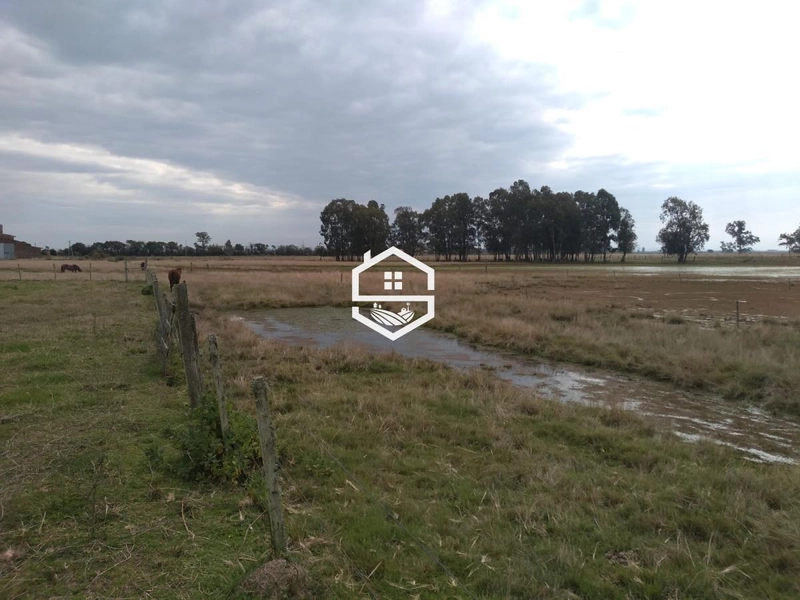 Área Rural para venda em Arambaré: 6ª foto da galeria de imagens do imóvel