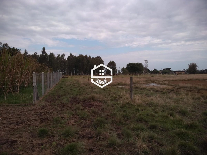 Área Rural para venda em Arambaré: 3ª foto da galeria de imagens do imóvel