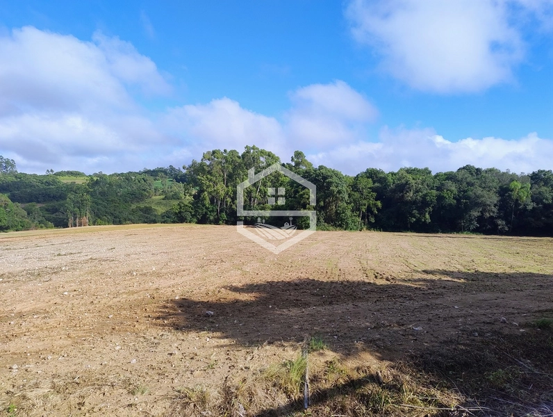 2,5ha em Próxima a RS-350.: 19ª foto da galeria de imagens do imóvel