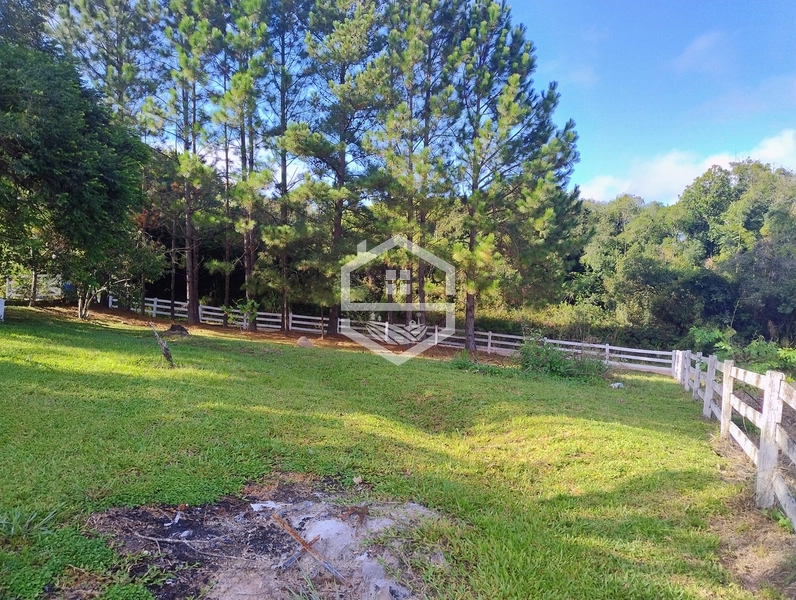 2,5ha em Próxima a RS-350.: 17ª foto da galeria de imagens do imóvel