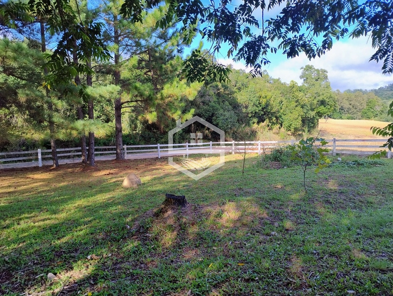 2,5ha em Próxima a RS-350.: 24ª foto da galeria de imagens do imóvel