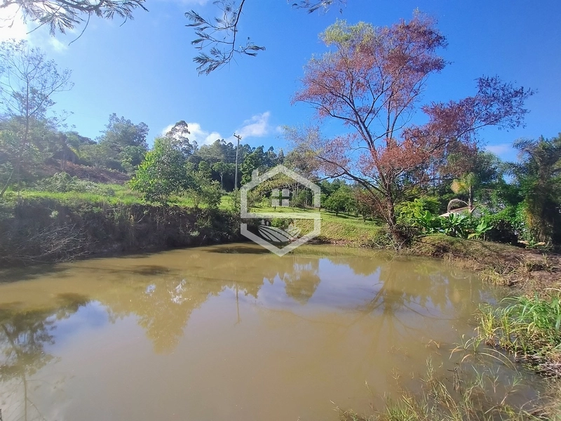 2,5ha em Próxima a RS-350.: 5ª foto da galeria de imagens do imóvel