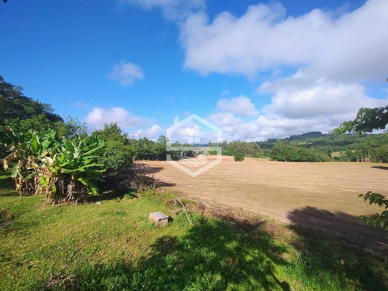 2,5ha em Próxima a RS-350.: 3ª foto da galeria de imagens do imóvel