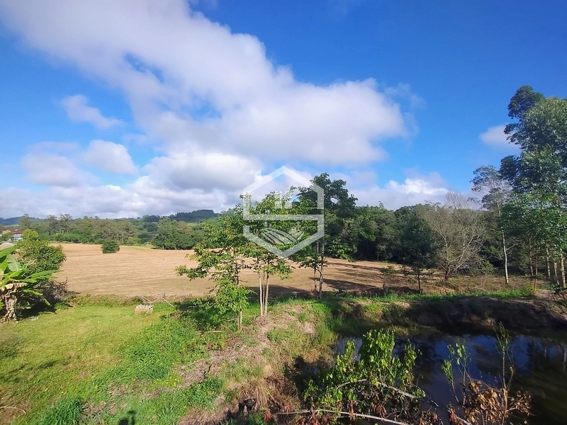 2,5ha em Próxima a RS-350.: 6ª foto da galeria de imagens do imóvel