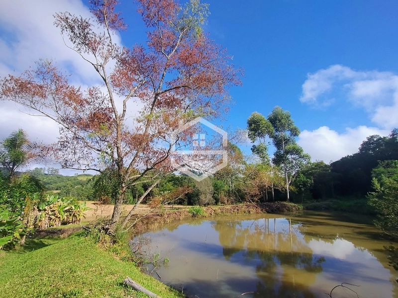 2,5ha em Próxima a RS-350.: 7ª foto da galeria de imagens do imóvel