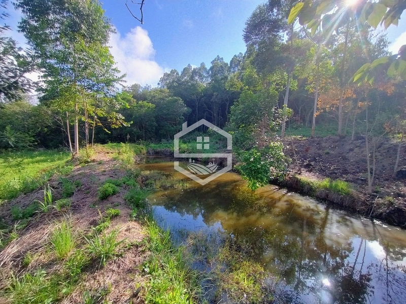 2,5ha em Próxima a RS-350.: 4ª foto da galeria de imagens do imóvel