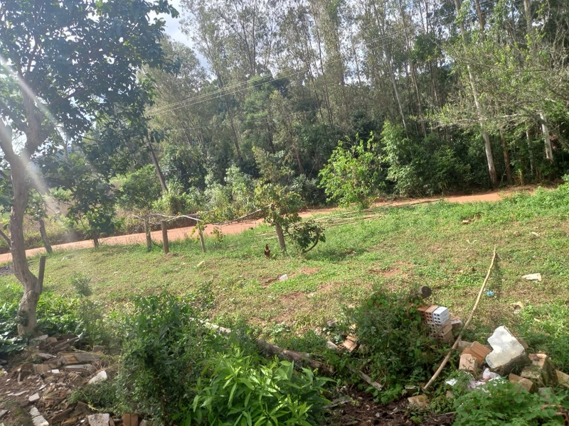 Ponto comercial já estabelecido localizado em Freguesia.: 7ª foto da galeria de imagens do imóvel