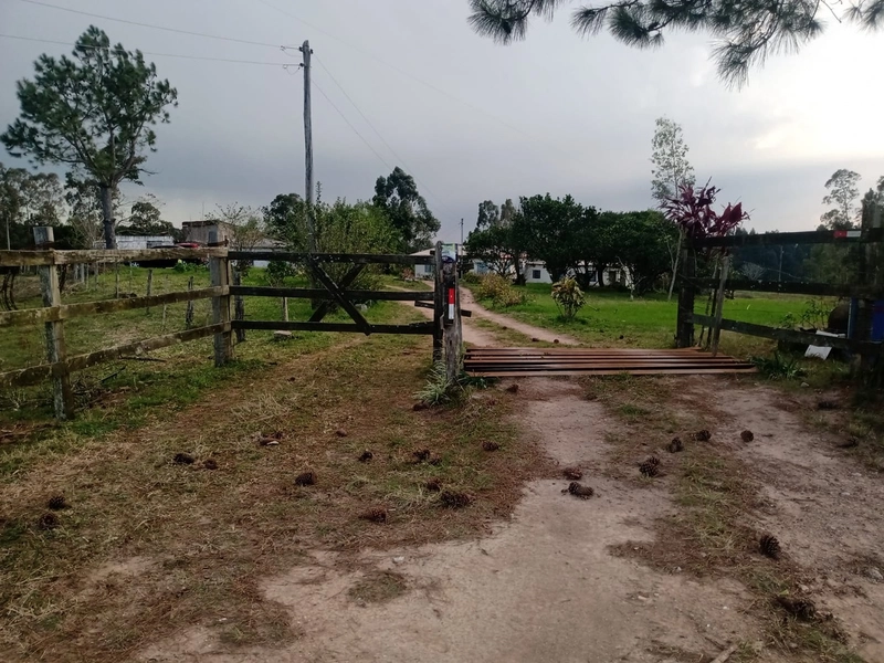 Chácara 05ha, a 20km de Camaquã.: 1ª foto da galeria de imagens do imóvel