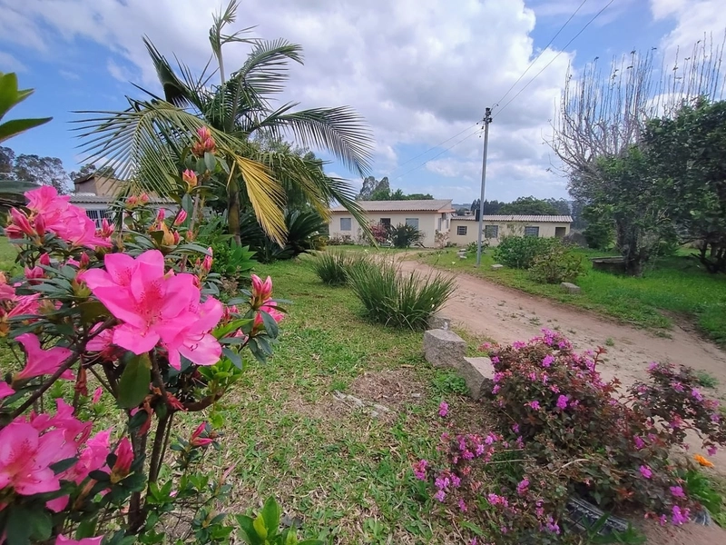 Chácara 05ha, a 20km de Camaquã.: 2ª foto da galeria de imagens do imóvel