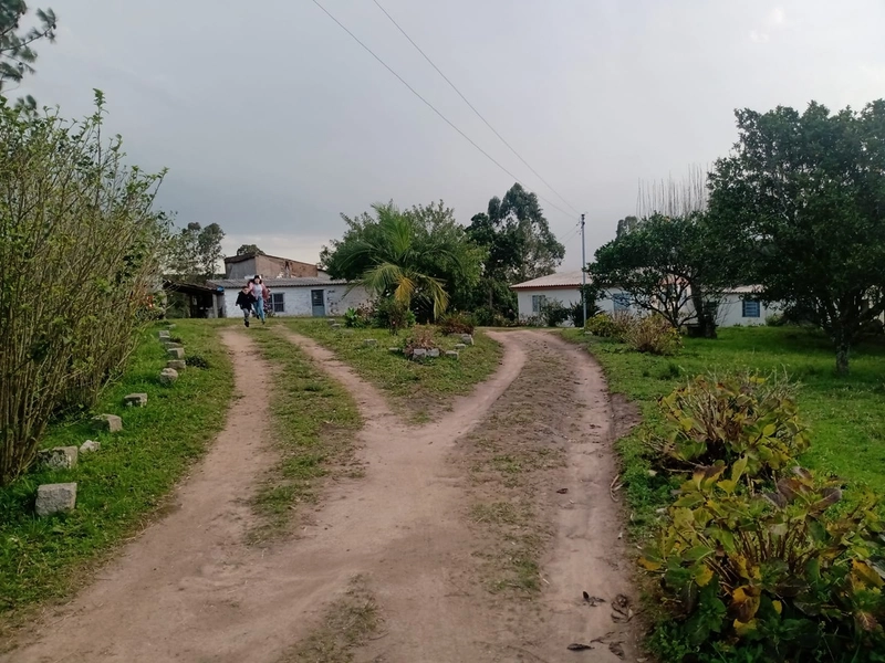 Chácara 05ha, a 20km de Camaquã.: 9ª foto da galeria de imagens do imóvel