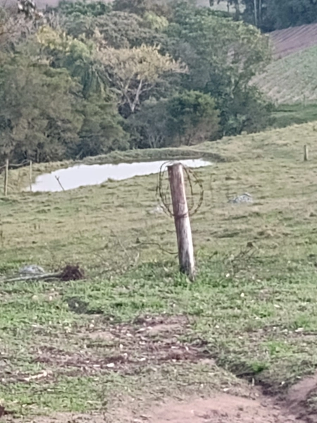 Chácara 05ha, a 20km de Camaquã.: 6ª foto da galeria de imagens do imóvel