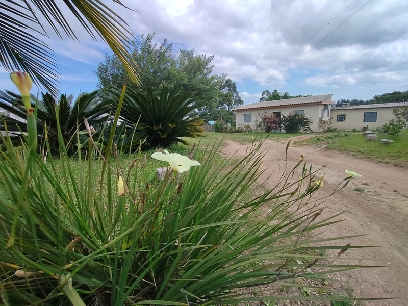 Chácara 05ha, a 20km de Camaquã.: 4ª foto da galeria de imagens do imóvel