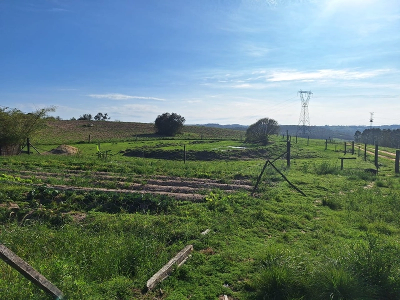 Chácara á 03km da RS-350.: 2ª foto da galeria de imagens do imóvel