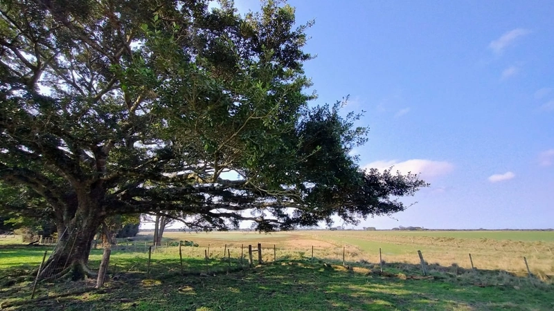 Quanto custa estar reunido com pessoas especiais?: 19ª foto da galeria de imagens do imóvel