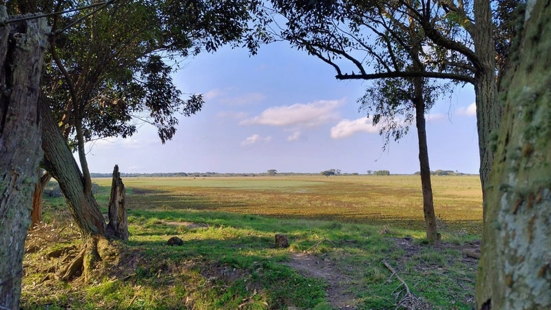 Quanto custa estar reunido com pessoas especiais?: 1ª foto da galeria de imagens do imóvel