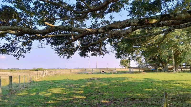 Quanto custa estar reunido com pessoas especiais?: 23ª foto da galeria de imagens do imóvel