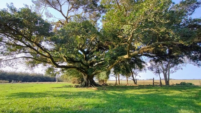 Quanto custa estar reunido com pessoas especiais?: 20ª foto da galeria de imagens do imóvel