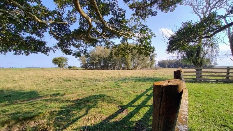 Quanto custa estar reunido com pessoas especiais?: 17ª foto da galeria de imagens do imóvel
