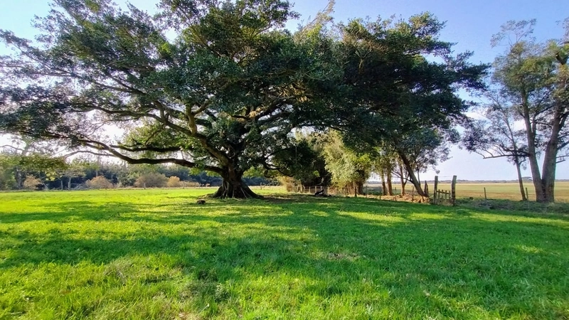 Quanto custa estar reunido com pessoas especiais?: 21ª foto da galeria de imagens do imóvel