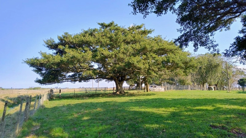 Quanto custa estar reunido com pessoas especiais?: 22ª foto da galeria de imagens do imóvel