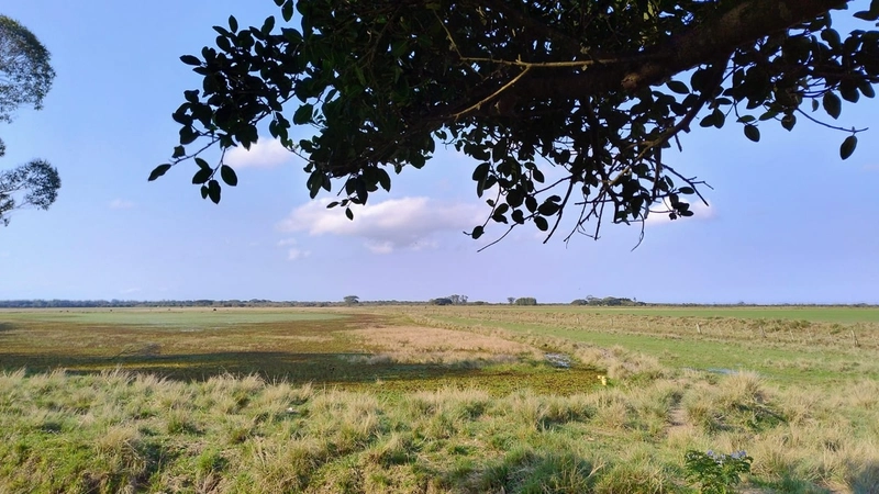 Quanto custa estar reunido com pessoas especiais?: 24ª foto da galeria de imagens do imóvel