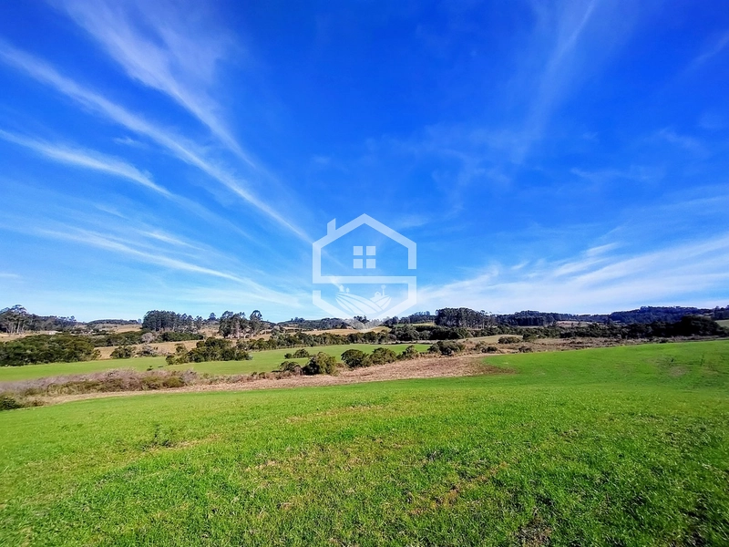 -Propriedade com 33 ha, Aptidão Agropecuária -: 2ª foto da galeria de imagens do imóvel