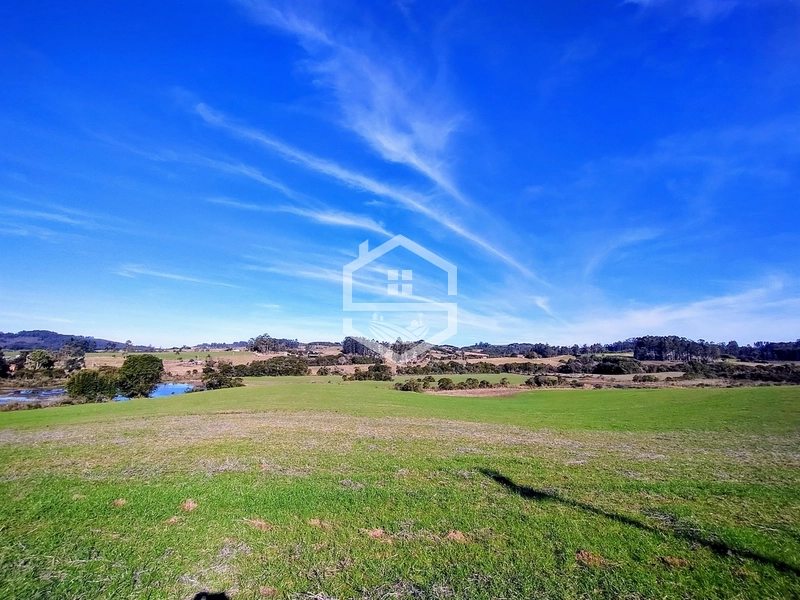 -Propriedade com 33 ha, Aptidão Agropecuária -: 1ª foto da galeria de imagens do imóvel