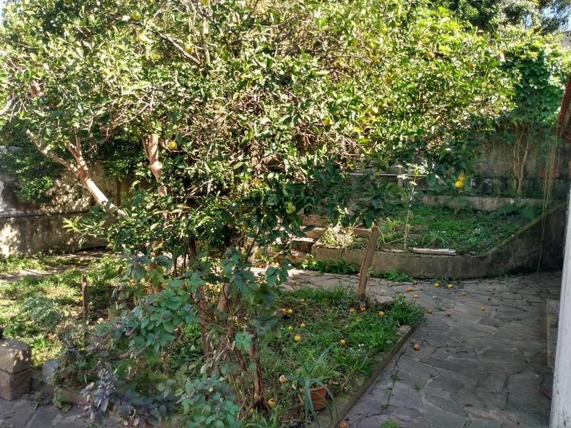 Casa 3 dormitórios para venda em Camaquã: 13ª foto da galeria de imagens do imóvel