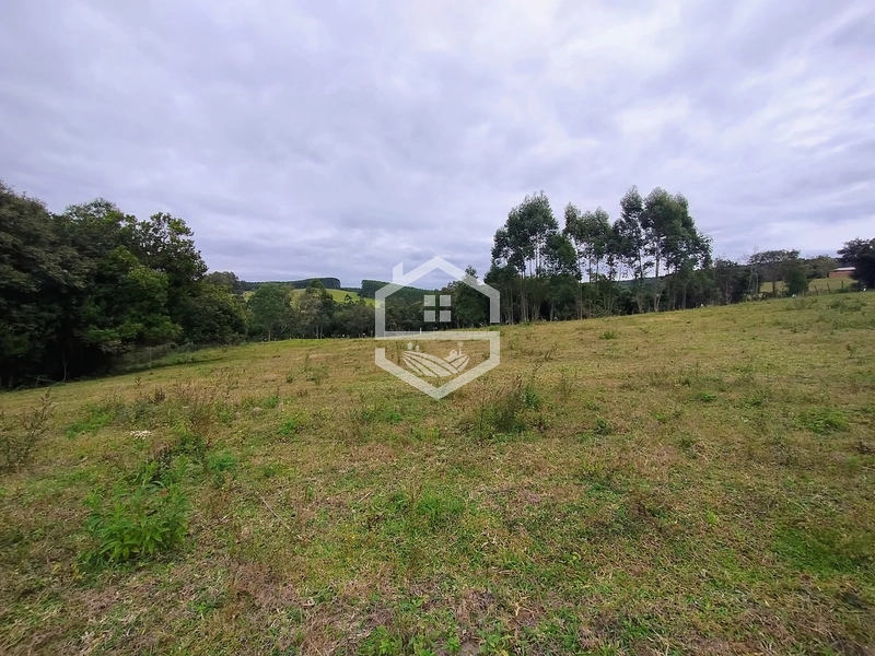 Propriedade 11km da BR-116: 10ª foto da galeria de imagens do imóvel