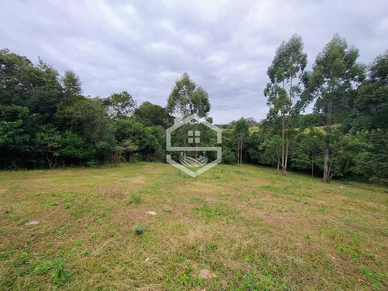 Propriedade 11km da BR-116: 8ª foto da galeria de imagens do imóvel